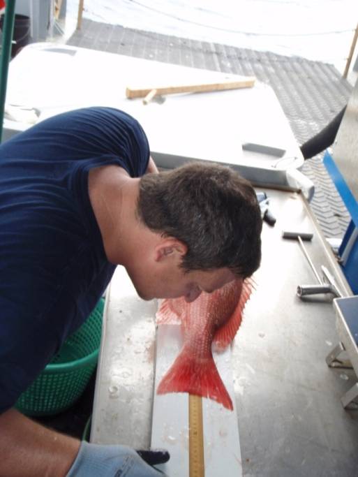 Eric taking measurements on a Red Snapper